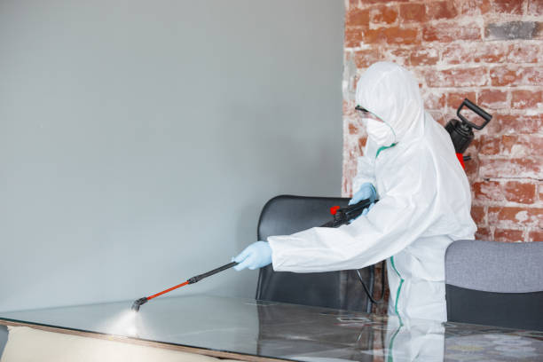 Professional Mold Removal in Azusa, CA