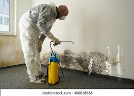 Why You Should Choose Our Mold Remediation Services in Azusa, CA